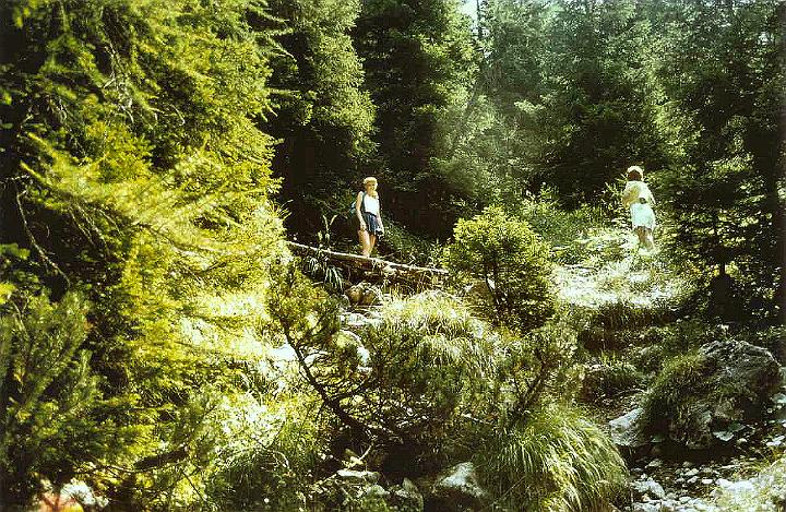 br88_satotla_elf_b.jpg - The Mostellers came with us to Brand in 1988. Here is Maggie, the elf who ran way ahead of us most of the time. Mother Sandy on the right.
