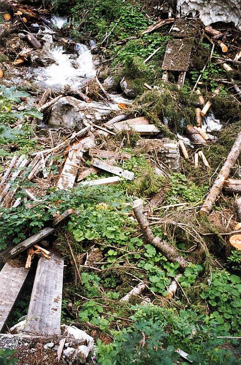 br99_sarotla06.jpg - Trees were uprooted and broken off, bridges were swept away and torn to pieces by the floods. The destruction looked irreparable to us, but maybe it has been repaired by now anyway - ten years later..