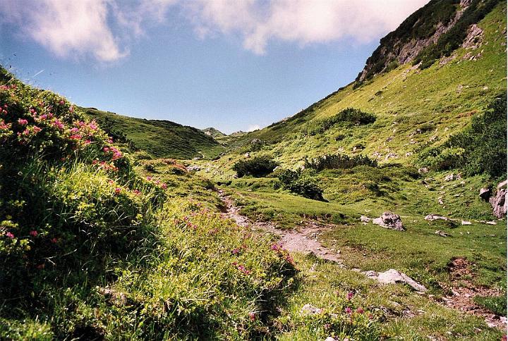br99_saulajoch_12.jpg - Saulajoch opens up in all its beauty. It is not a sharp break like the Amatschonjoch, but a stretched out saddle-shaped pass between Saulakopf and Süd and Nord-Schafgafall