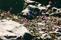 br95_saulajoch_11_a