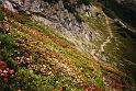 br96_saulajoch_2