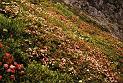 br96_saulajoch_3