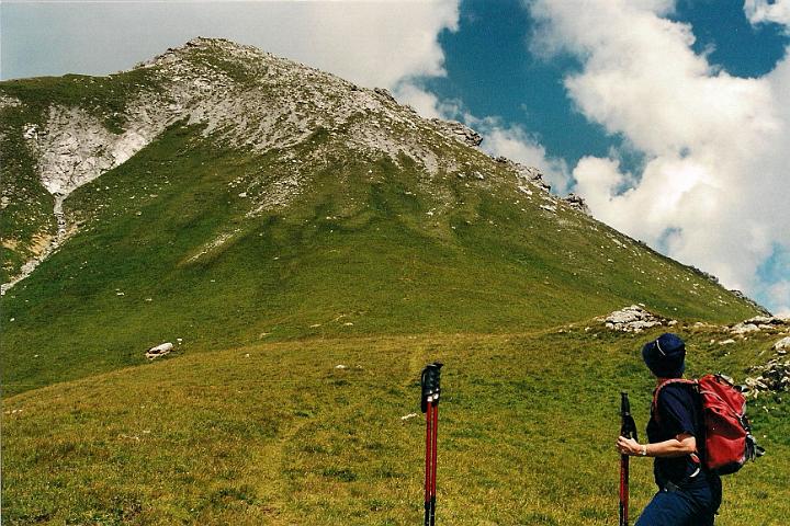 br00_sudschafgfl_4.jpg - The last time we climbed Südschafgafall was in 2000. Siv looking at the mountain from the grassy field you cross before the final climb. The mountain looks a lot flatter from here than it really is.