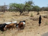 Tarangire National Park
