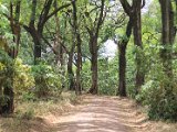 Lake Manyara National Park