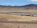 Drive to Serengeti