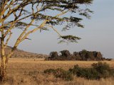 Serengeti National Park
