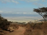 Ngorongoro crater