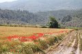 tk11_052410450_j