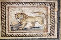 tk11_052211051_j_pa