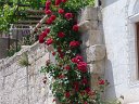 tk12_060213211_s