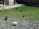 tk12_060310491_s
