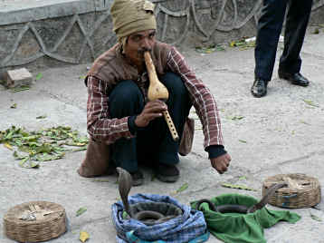 Snake charmer