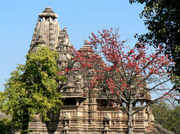 Temple and tree