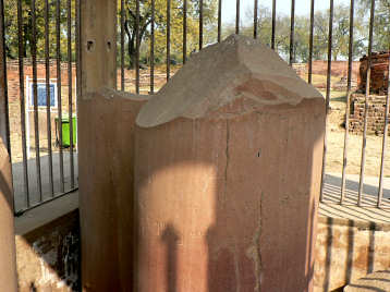 Ashoka pillar