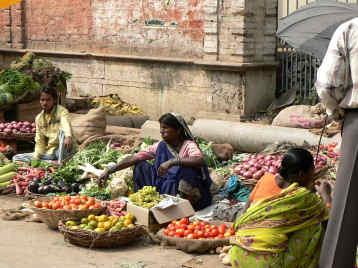 Vegetable seller