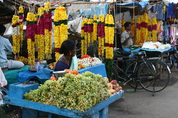 Fruit sellers