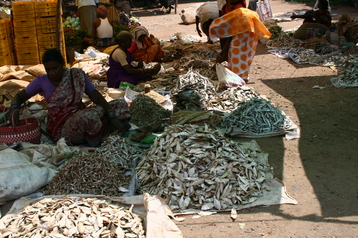 Dried fish