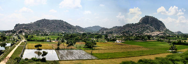 Overview