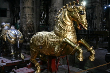 Horse and elephant