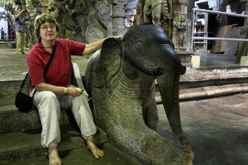 Tourist and elephant