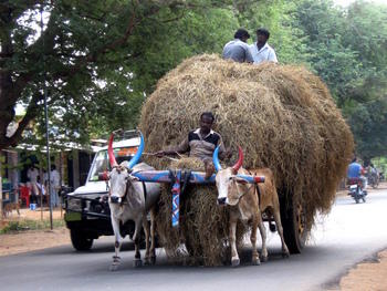Loaded cart