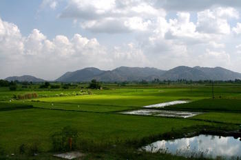 Landscape