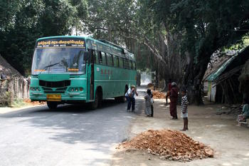 Bus avoids Siv