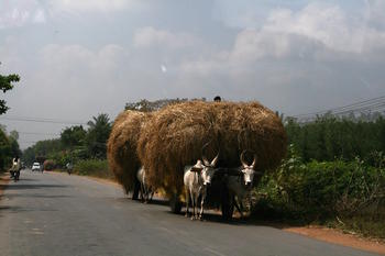 Loaded cart