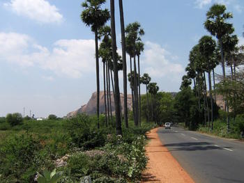 Elephant Rock