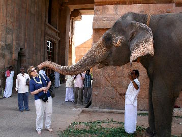 Siv and elephant