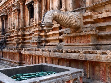 Elephant drain