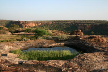 On the plateau