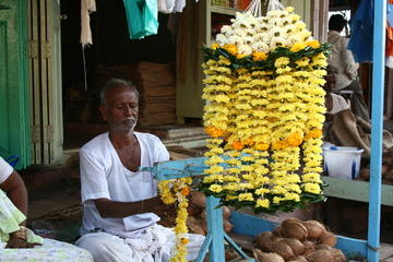 Market - marigolds