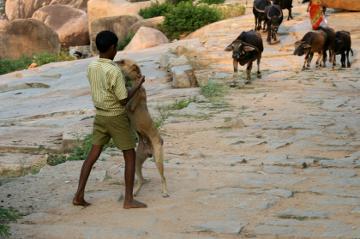 Boy and dog