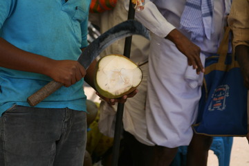 Coconut milk for sale