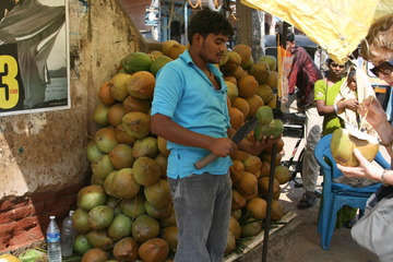 Coconut milk for sale