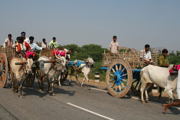 Cart