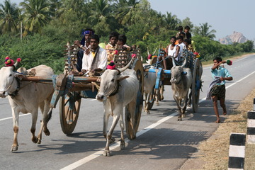 Carts