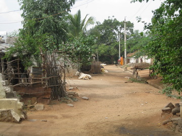 Village