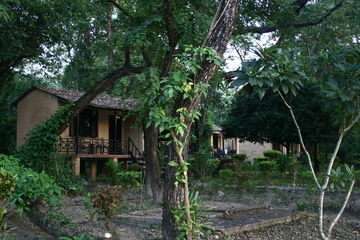 Island Jungle Resort