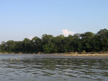 Boat trip