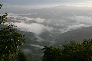 Dawn