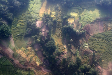 Terraced fields