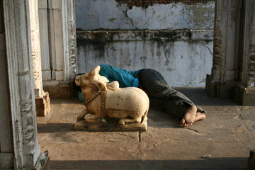 Nandi and siesta